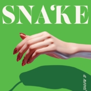 Sister Snake cover of the book Sister Snake