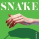 cover of the book Sister Snake