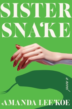 cover of the book Sister Snake