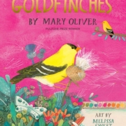 Goldfinches