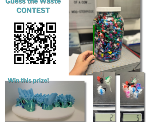 guess the waste contest