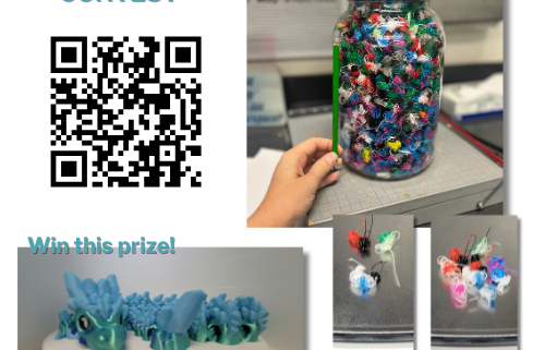 guess the waste contest