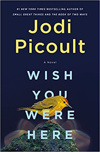 Wish You Were Here book cover